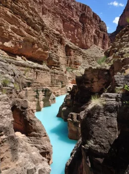 7005747_medium_1554312798